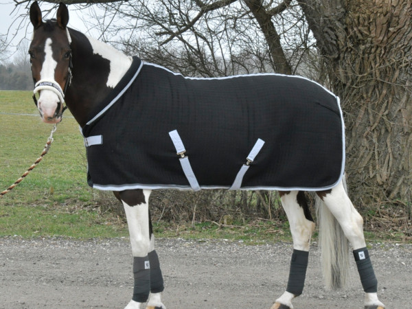 Mink Horse Wolle/Thermo Stall- / Abschwitzdecke